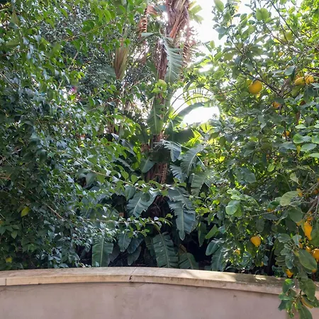 La Corte Dei Nespoli Villa Acireale